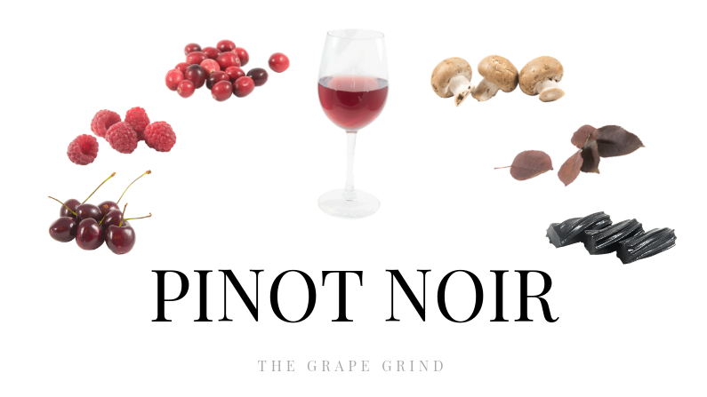 Giống nho Pinot Noir